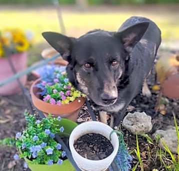 Photo of Penny Sue