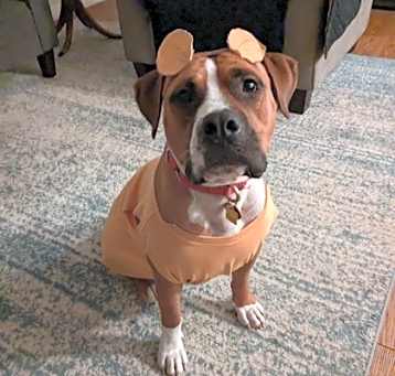Photo of Evander