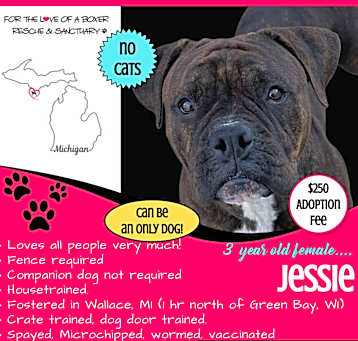 Photo of Jessie