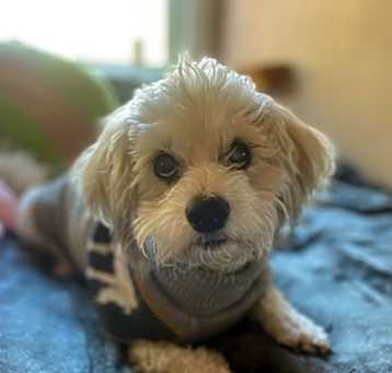 Photo of Andie