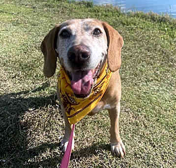 Photo of Sadie