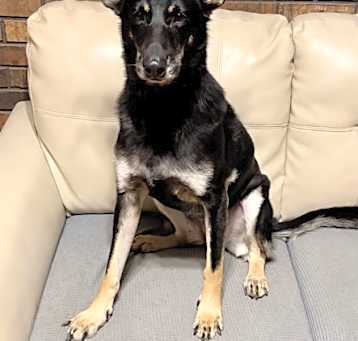 Photo of Macy
