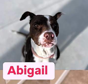 Photo of Abigail
