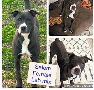 Photo of Salem