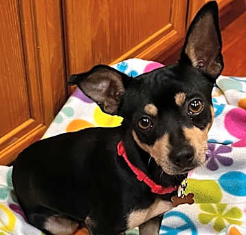 Photo of Ernest