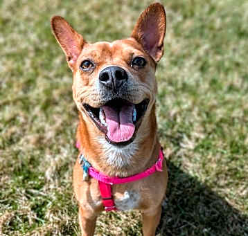 Photo of Lucy