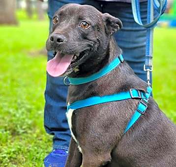 Photo of Vader