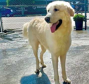 Photo of Brody
