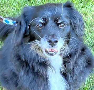Photo of Simon