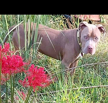 Photo of Thelma