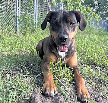 Photo of Eramis