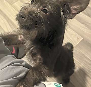 Photo of Rocko