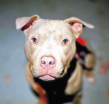 Photo of Tex