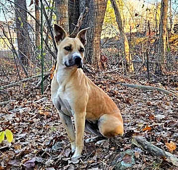Photo of Agatha (Aggie)
