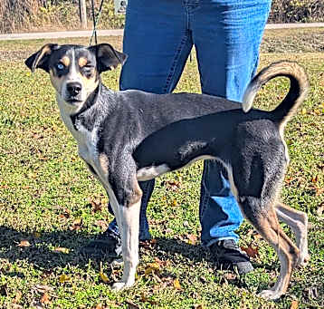 Photo of Heidi