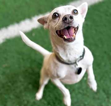 Photo of Spunky