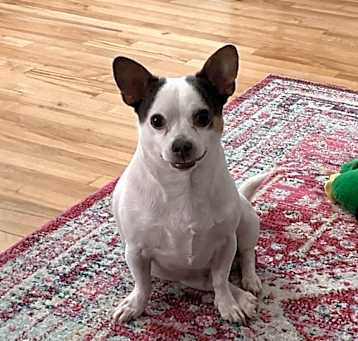 Photo of Tank