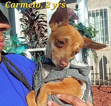 Photo of Carmelo