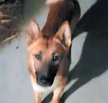 Photo of Wiley
