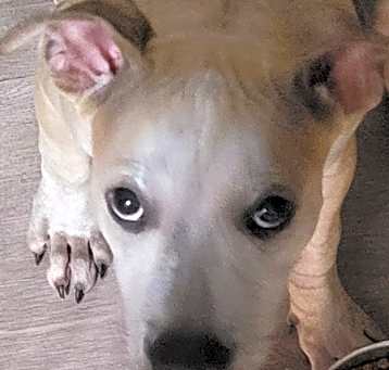 Photo of Happy