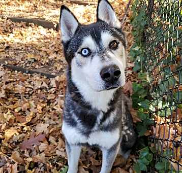 Photo of Ghost