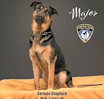Photo of Major