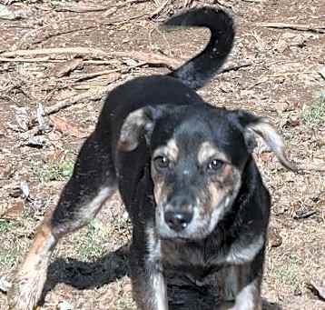 Photo of Berta