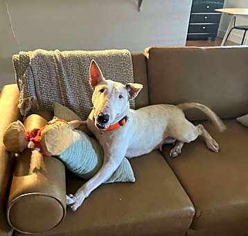 Photo of Sasha
