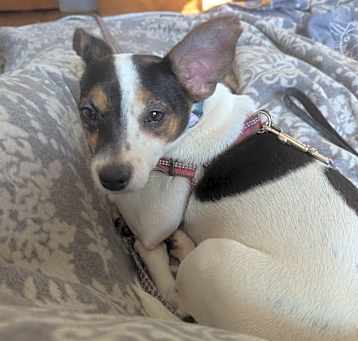 Photo of Penelope