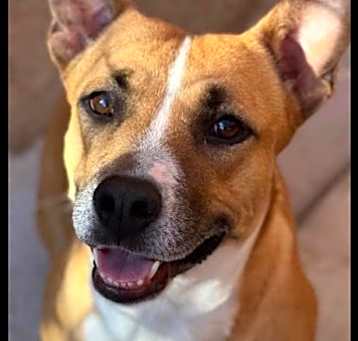 Photo of Sherley