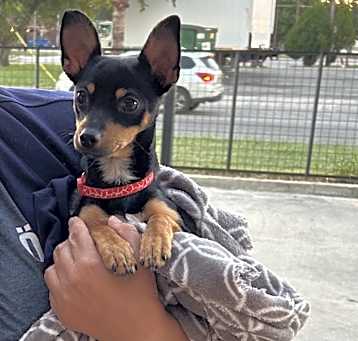 Photo of Tiny