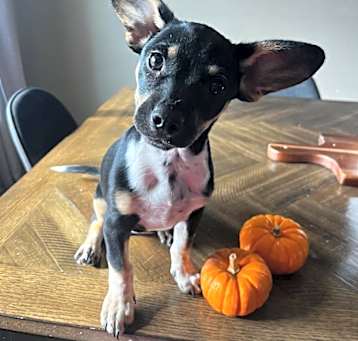 Photo of Camila