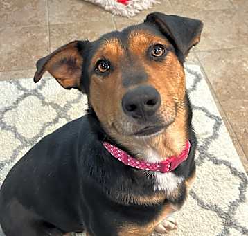 Photo of Lexie