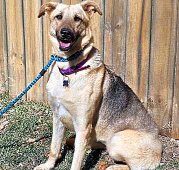 Photo of Cloud