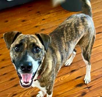 Photo of Magic (In Foster)