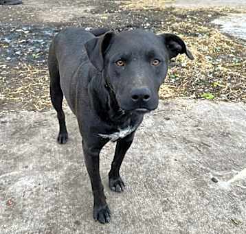 Photo of Max