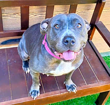 Photo of Betsy