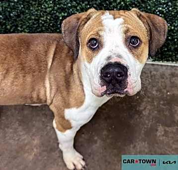 Photo of Fiona
