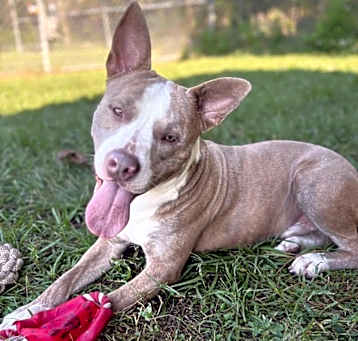 Photo of Ulysses