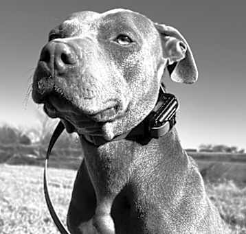 Photo of MISS NOVA