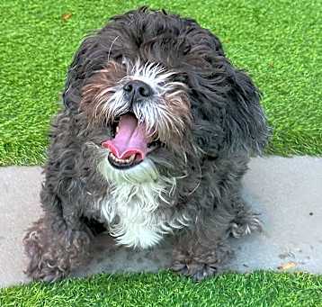 Photo of Lily Lou