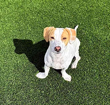 Photo of COURTESY POSTING DAISY