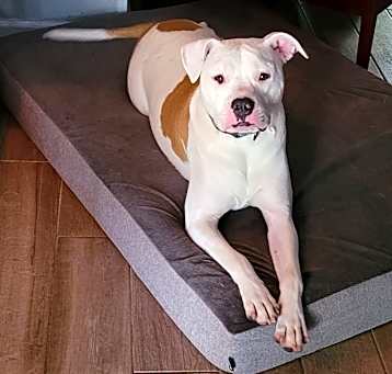 Photo of McGee