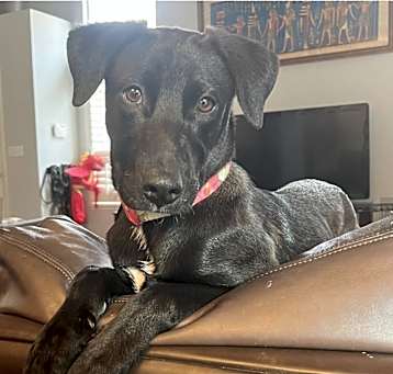 Photo of Chloe