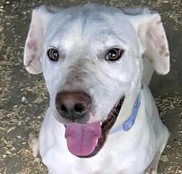 Photo of Maggie