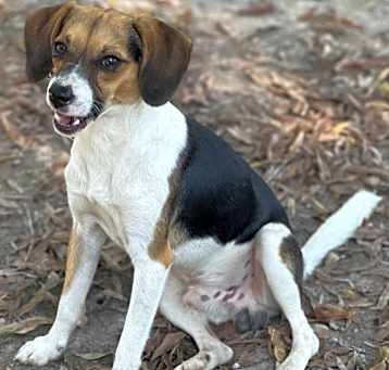 Photo of Murphy