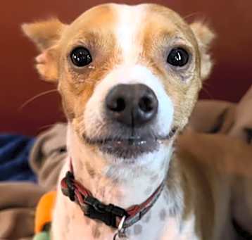 Photo of Yogi