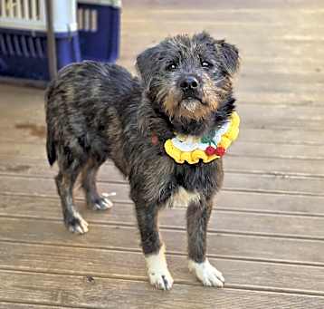 Photo of Atom