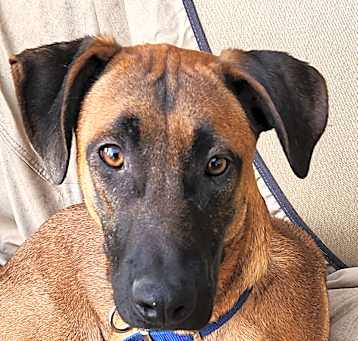 Photo of Brody