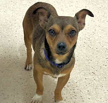 Photo of Ramona